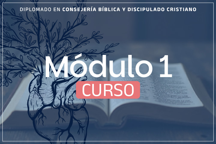 Módulo 1